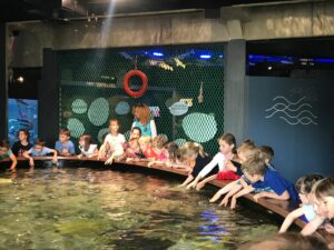 Les GS/CP en classe de mer à Stella-Plage